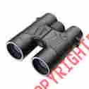 111738 Leupold Bx-2 Cascades 8x42 Binoculars Bak4 Roof Prism Phase Coated Black 030317117382
