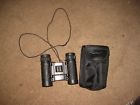 3x21 Bushnell Compact Travel Binoculars At Yards Carry Case