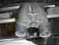 13-9275 9-27x25 Powerview Bushnell Compact Binoculars