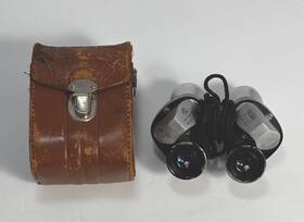 149356 Bushnell 6 X 25 Broadfield Binoculars