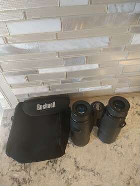 234210b Bushnell 10x42mm Roof Prismbinocular 304ft Fov Black Case Hunt Fish Pre Owned