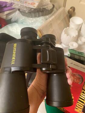 Bushnell 25-9735 Sportview Wide Angle 7x50 Coated Porro Prism Binoculars Black Case