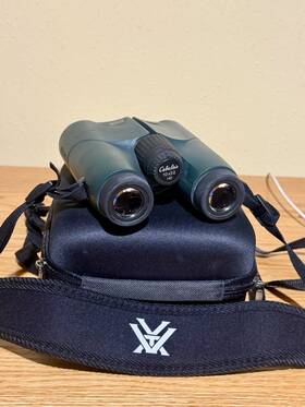 Cabelas 152079 Euro Hd 10x32 Compact Roof Prism Binoculars Fully Multi-coated Green