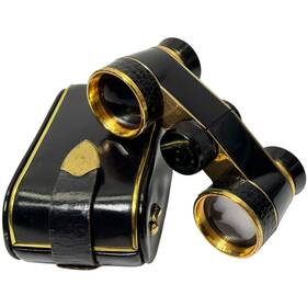 827833 Carl Zeiss Diadem Theater Binoculars Opera Glasses With Leather Case Vtg