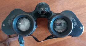 1259879 Carl Zeiss Jena Deltrintem 8x30 Multi Coated Binoculars With Case And Strap