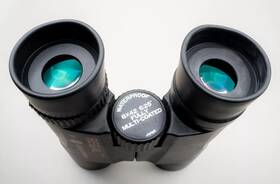 T-617hdn Celestron Nos - Regal 8x42 Binoculars With Bag. Made In Japan Fully Coat