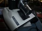 Lumixdmczs50 Dcmzs50 Panaoniclumix Great Picturesexcellent Buy Now
