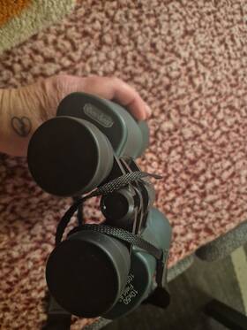 369791726 Gordon Binoculars Used