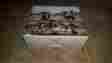 Int-101 Int101 Cabela S Brand New 875874007550