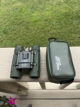 C449 L.l.bean Discovery Sport Binoculars 10x25 Vintage