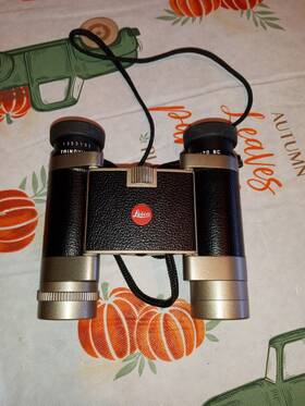 40360 Leica Trinovid Bc 8x20 Binoculars Exellent Condition