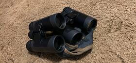 181176 Leupold Bx-2 Alpine Hd 8x42mm Binoculars