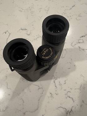 198723 Leupold Bx-4 Pro Guide Hd 10x42 Binoculars