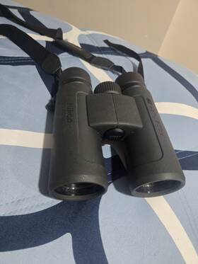 2044740 Nikon Prostaff P3 8x42 Binoculars