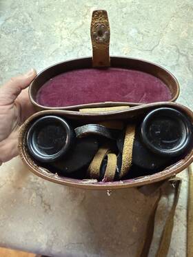 361800 Nippon Kogaku Vintage Tokyo 7x35 Binoculars Japan 7.1 With Case Rare Find