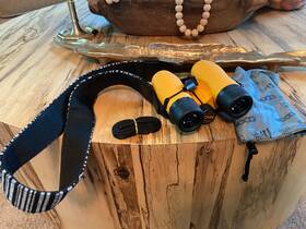 Nocs Provisions 850025565042 Standard Issue 8x25 Waterproof Binoculars Lightweight