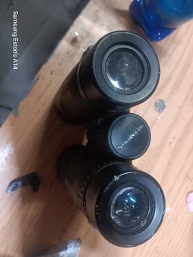 Exwp1 Olympus Binoculars 8x42 6.3