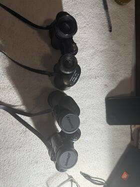 0975 Sears / Jcpenney Binoculars