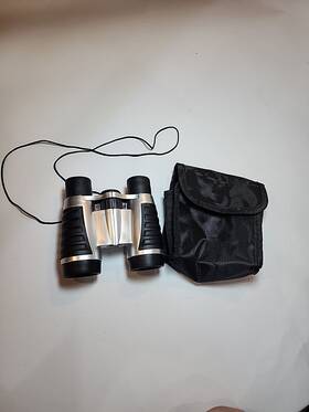 1012655 Sharper Image Compact Binoculars Ruby Coated Glare-free Optics Case And Strap