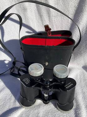 73037 Yashica 8x40 Binoculars With Carrying Case No Japan