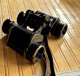 399131 Zeiss Antique Jena Turact Binoculars/8x30/1920 Serial No