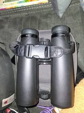 Zeiss 523225 Victory Sf 8x42 Binoculars Black Model 5286756 - New In Open Box