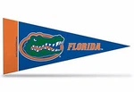 8 Piece Team Color Mini Pennant Decor Set 4X9 Officially Licensed Sports Party. Fixed Price $16.99.