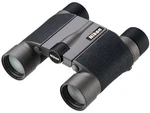 Nikon Series Binoculars Dcf Roof Prism 10X25MM Aperture 10X25HGL. Fixed Price $502.72.