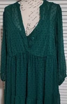 Torrid Green Clip Dot Maxi Dress Long Sleeve Sheer Button 1X. Fixed Price $35.00.