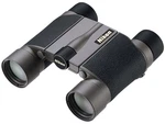 Nikon Binoculars Dcf Dach Prism Waterproof 10X25HGL New Box. Fixed Price $478.06.