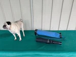 Vintage Bausch & Lomb The Discoverer 15-60X 60MM Zoom Telescope + Lens Caps Case. Fixed Price $27.00.