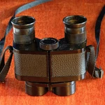 Bushnell Ensign Binoculars 7X25 Japan 7.1 Degree Field. Fixed Price $25.00.