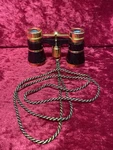 New Box Bushnell Theater Opera Glasses Binoculars 25 W/neck Chain 15-3233. Fixed Price $22.99.